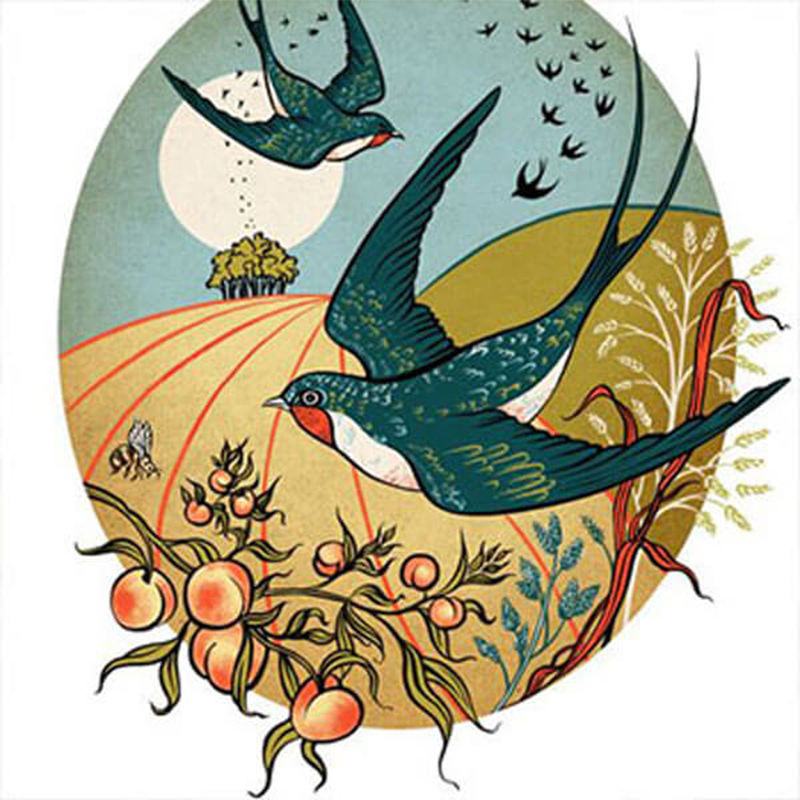 Children’s book illustration